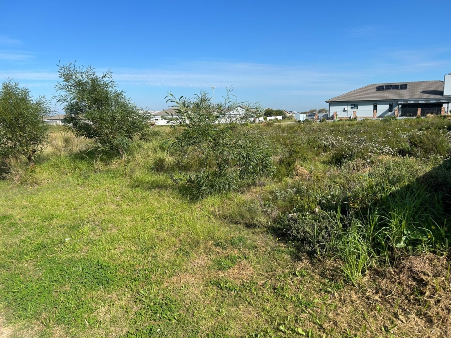 0 Bedroom Property for Sale in Fountains Estate Eastern Cape